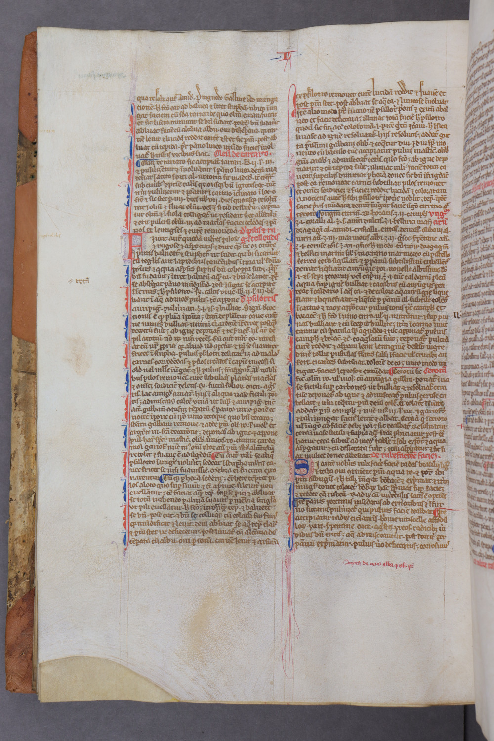 Folio 77 verso